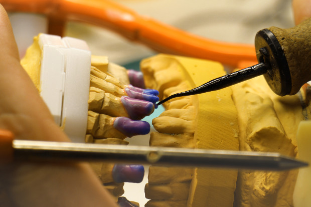 Life in the lab-3